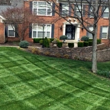 Lawn Care Website Homepage Design Example 1 mowing service step 1