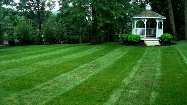 lawn mowing service kingsport tn lawn mowing service kingsport tn