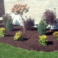 Lawn Care Website Homepage Design Example 2 mowing service step 1